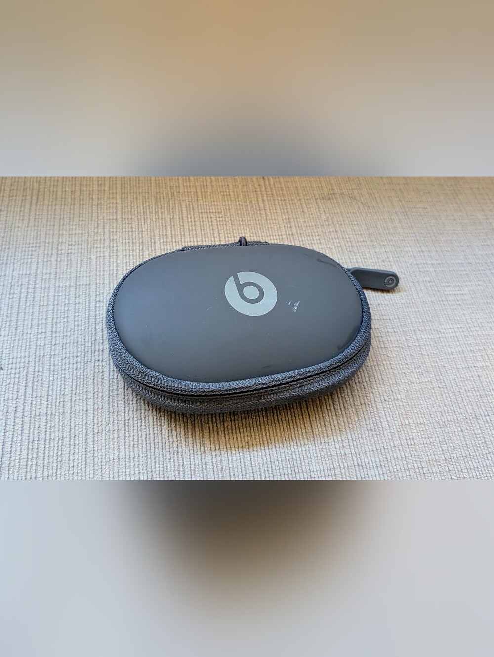 Beats Carrying Case